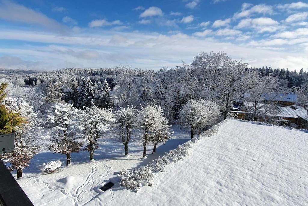 Black Forest Bergliebe Pool Terrasse Natur Ruhe Komfort Höchenschwand Esterno foto