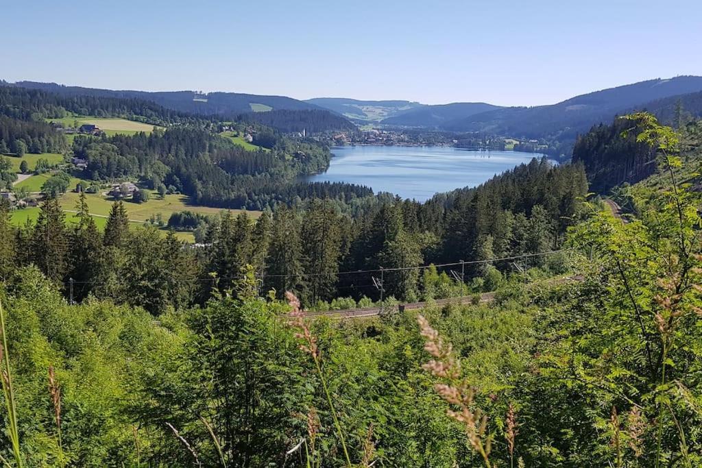 Black Forest Bergliebe Pool Terrasse Natur Ruhe Komfort Höchenschwand Esterno foto